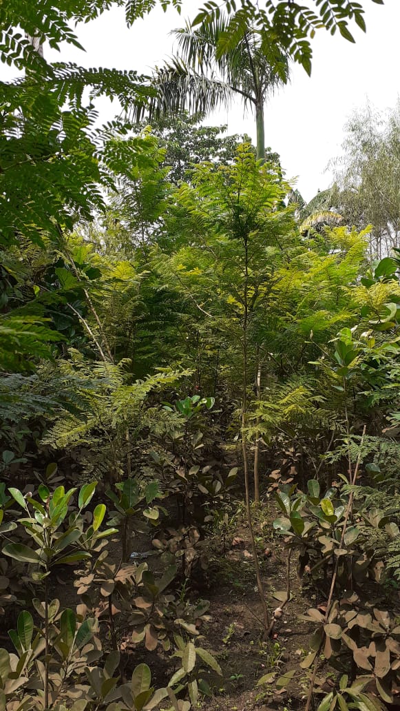 WhatsApp Image 2020-01-17 at 13.38.54 (2).jpeg